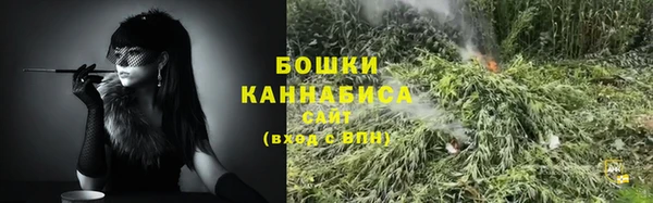 PSILOCYBIN Рославль