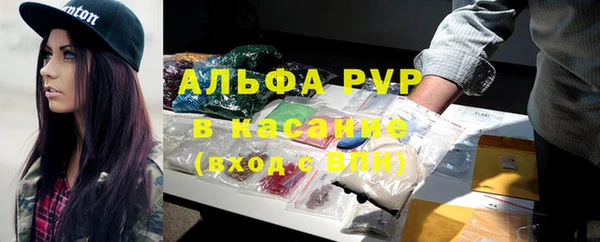 PSILOCYBIN Рославль
