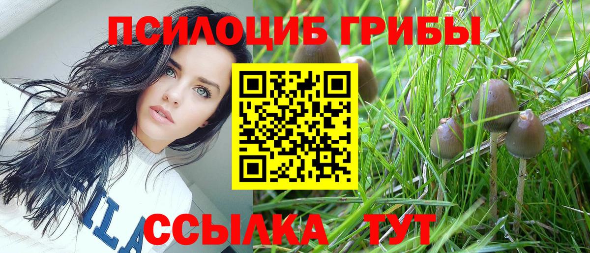 Красный Сулин  где найти   Вход с VPN  Галлюциногенные грибы мицелий 