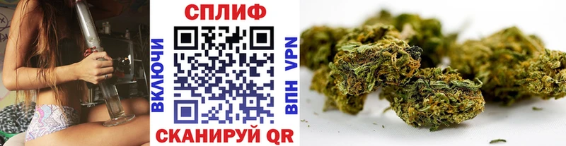 наркошоп  Красный Сулин  Канабис конопля 